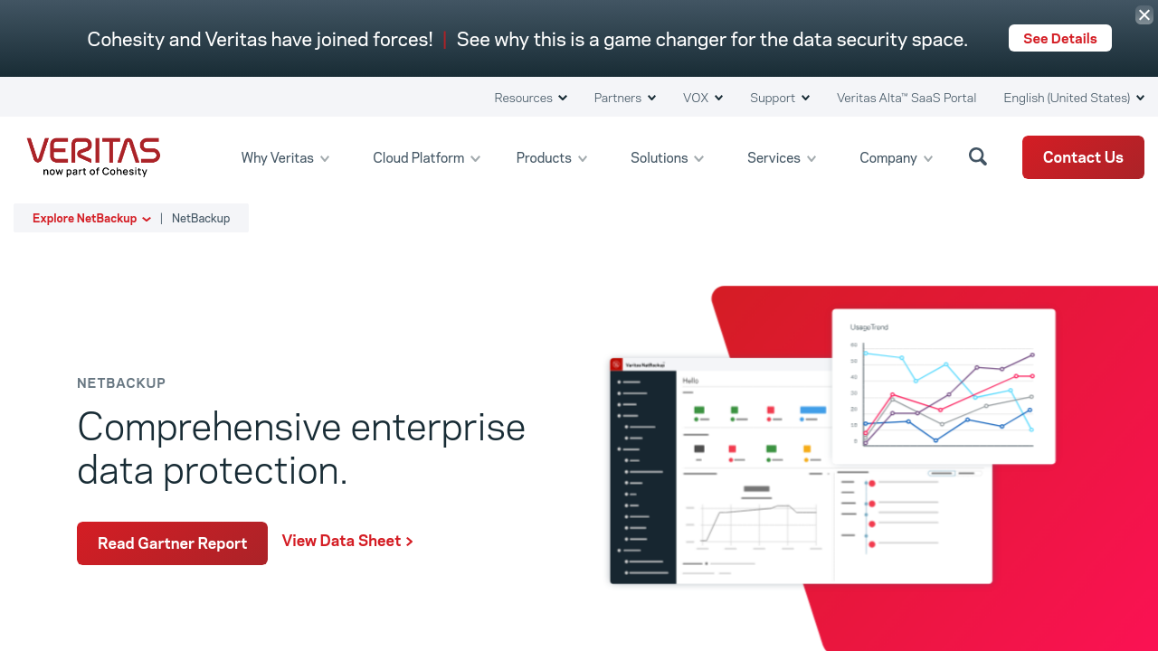 Veritas NetBackup
